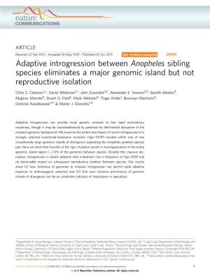 Adaptive Introgression Between Anopheles Sibling Species Eliminates a Major Genomic Island but Not Reproductive Isolation