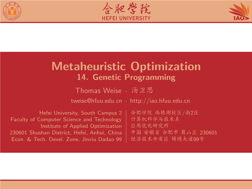 Metaheuristic Optimization 14