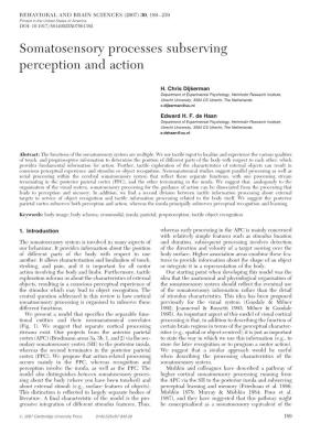 Somatosensory Processing Subserving Perception and Action