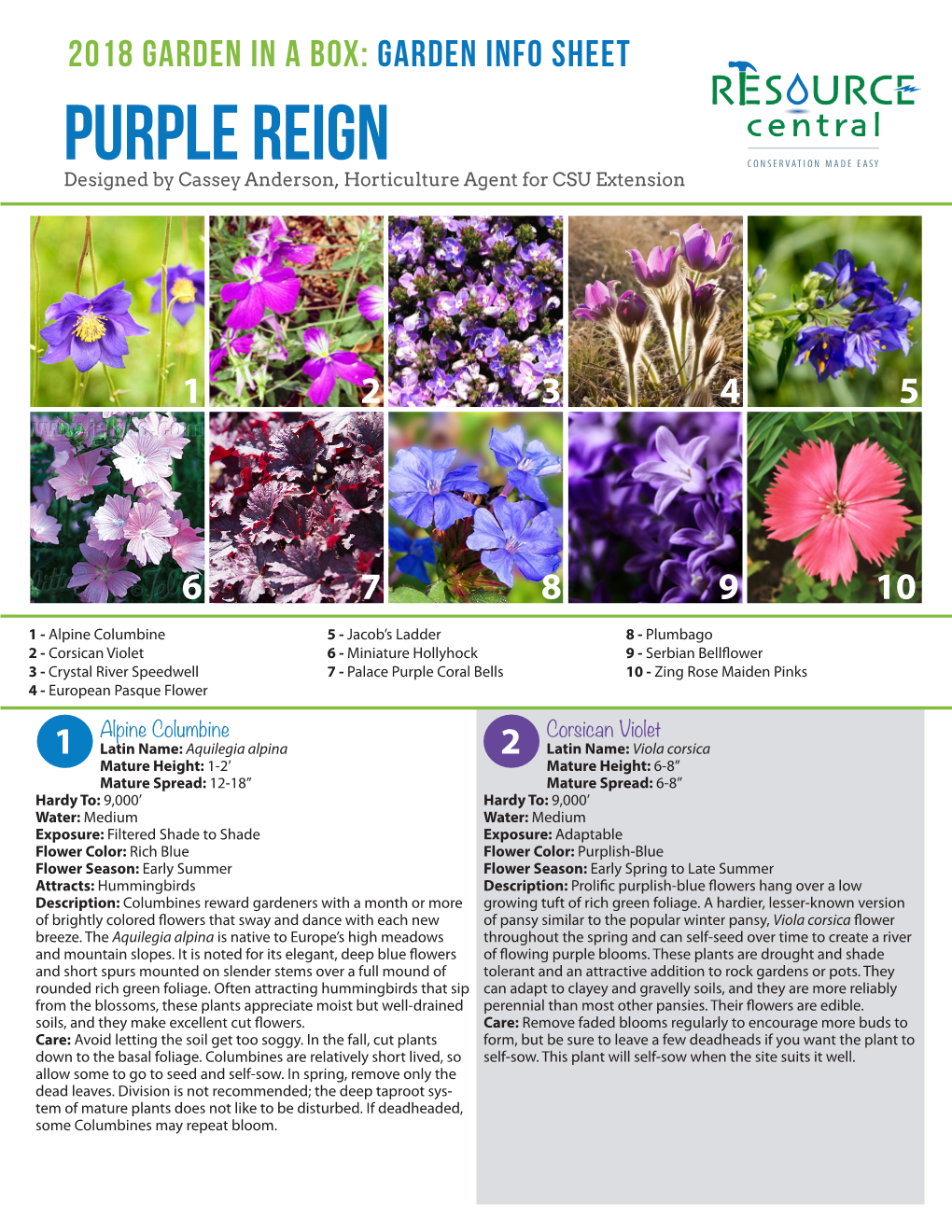 Purple Reign Designed by Cassey Anderson, Horticulture Agent for CSU Extension