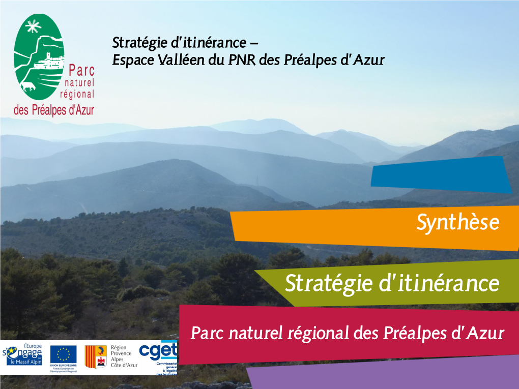 Synthèse Stratégie-Itinérance 2,08 Mo