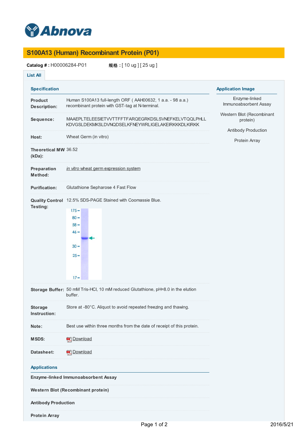 S100A13 (Human) Recombinant Protein (P01)