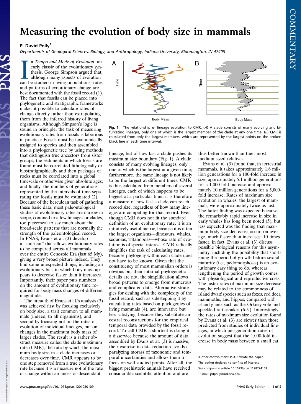 Measuring the Evolution of Body Size in Mammals