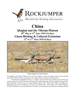 Qinghai and the Tibetan Plateau Lhasa Birding & Cultural Extension