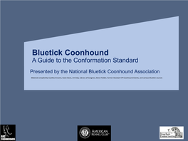 Bluetick Coonhound a Guide to the Conformation Standard