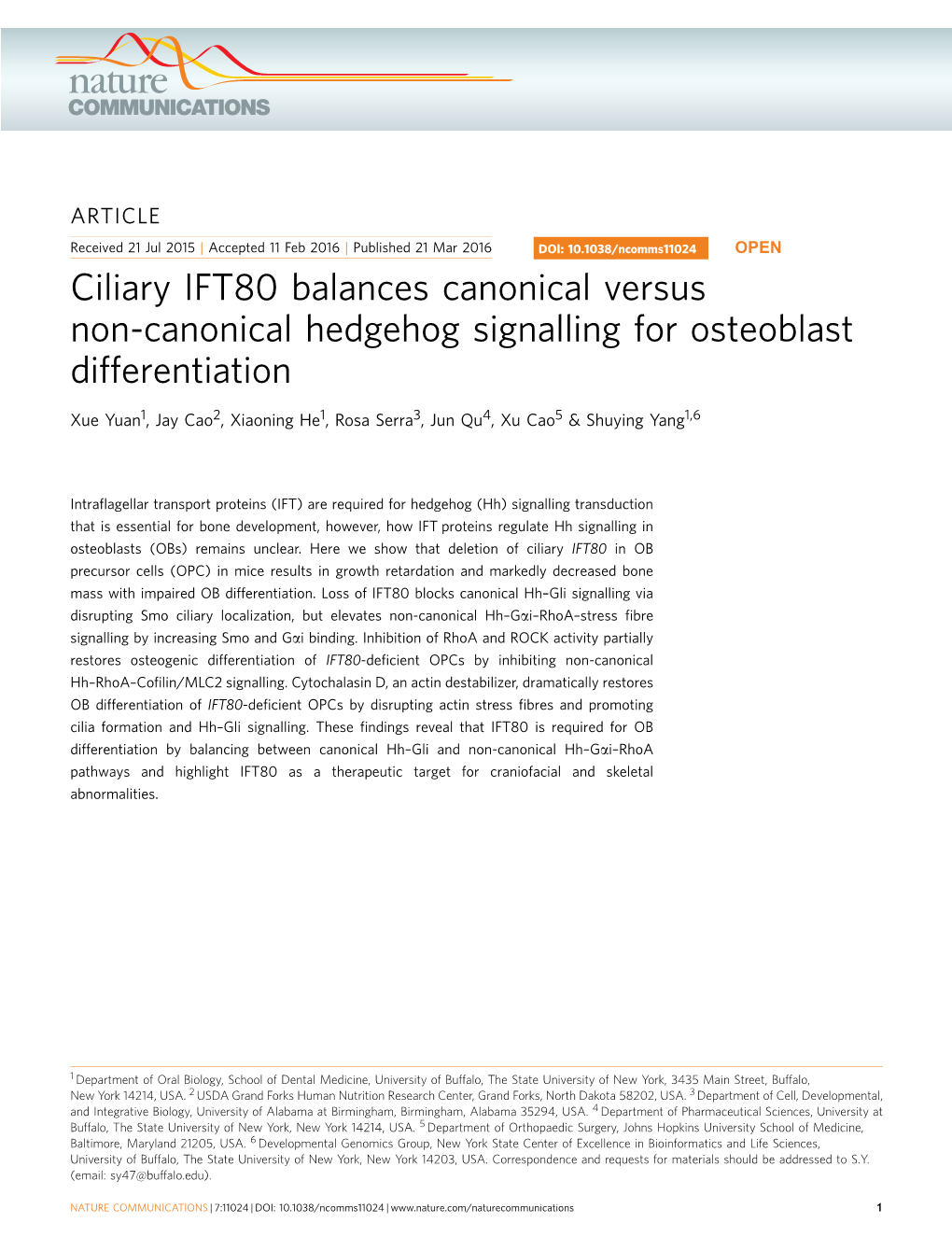 Ciliary IFT80 Balances Canonical Versus Non-Canonical Hedgehog Signalling for Osteoblast Differentiation