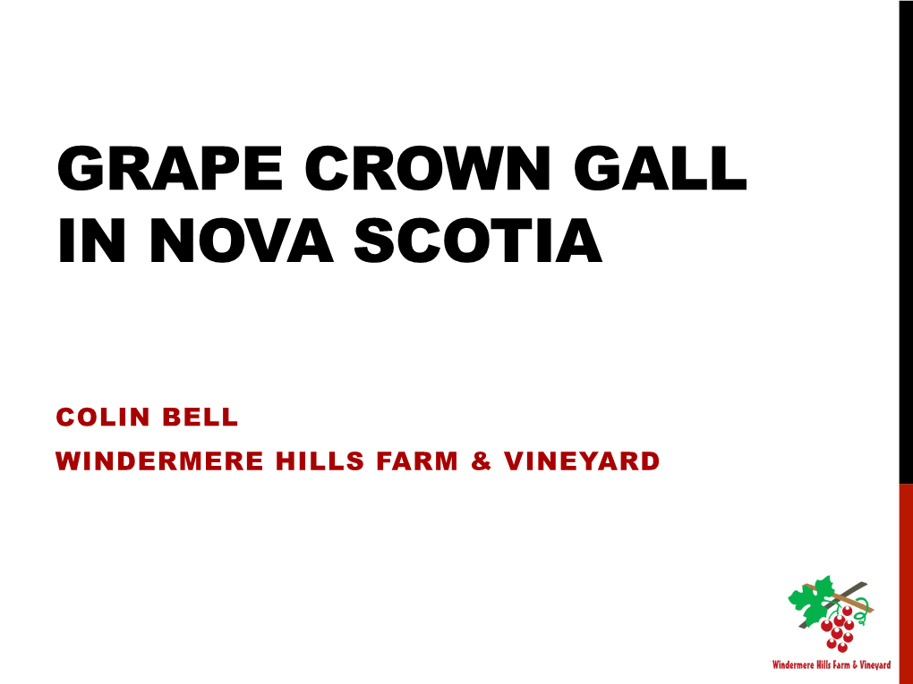 Grape Crown Gall in Nova Scotia