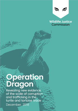 Operation Dragon