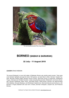 Borneo (Sabah & Sarawak)