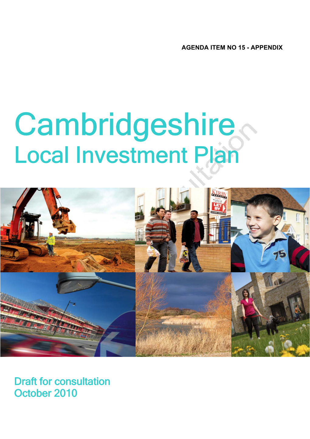 Cambridgeshire Local Investment Plan