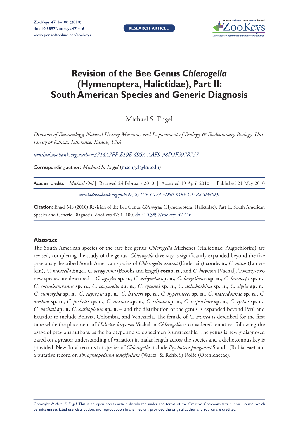Revision of the Bee Genus Chlerogella (Hymenoptera, Halictidae), Part II: South American Species and Generic Diagnosis