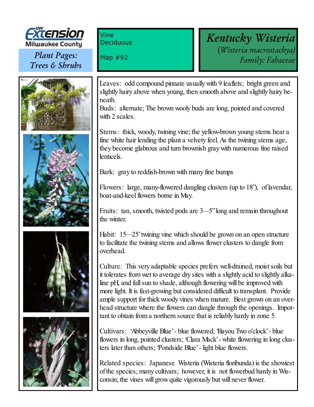 Kentucky Wisteria (Wisteria Macrostachya) Plant Pages: Map #92 Family: Fabaceae Trees & Shrubs
