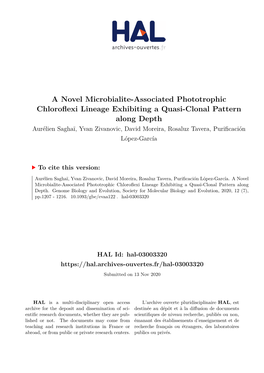 A Novel Microbialite-Associated Phototrophic Chloroflexi Lineage
