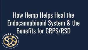 How Hemp Helps Heal the Endocannabinoid System & The