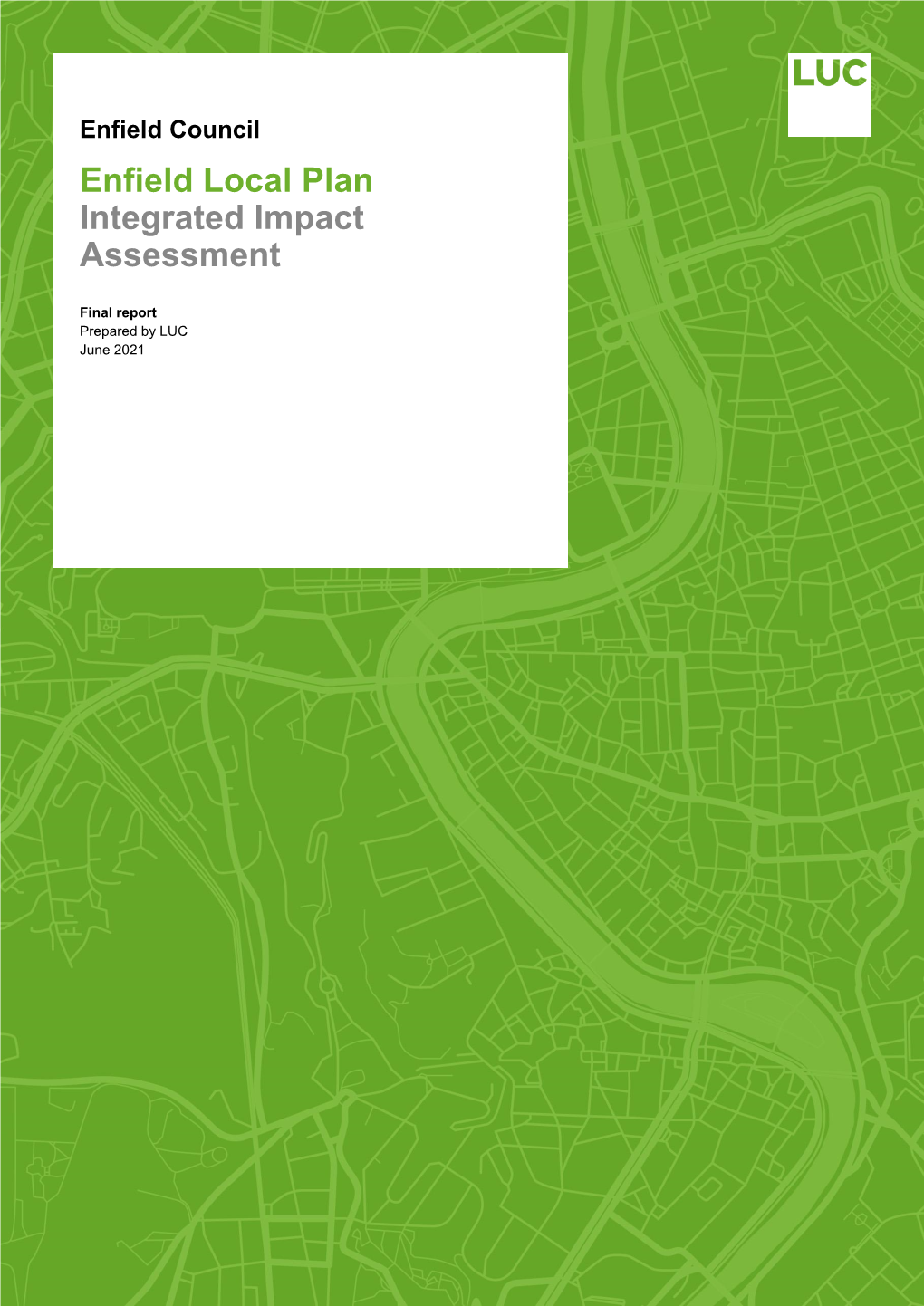 Integrated Impact Assessment