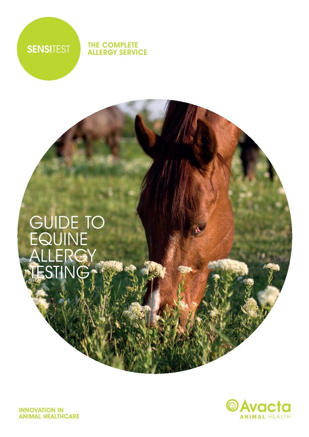 Guide to Equine Allergy Testing