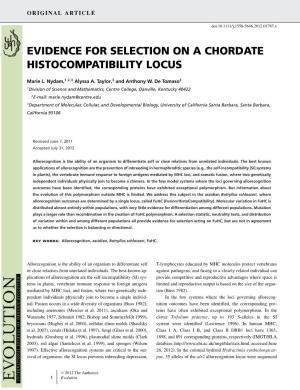 Evidence for Selection on a Chordate Histocompatibility Locus