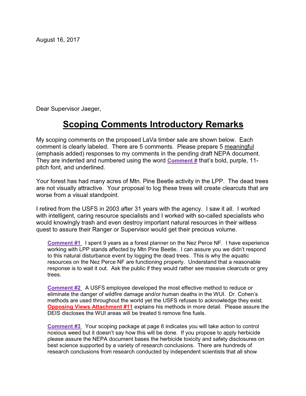 Scoping Comments Introductory Remarks