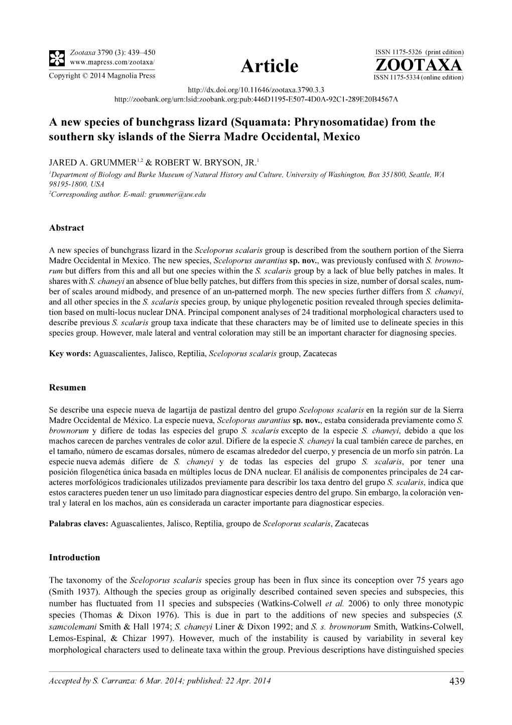 A New Species of Bunchgrass Lizard (Squamata: Phrynosomatidae) from the Southern Sky Islands of the Sierra Madre Occidental, Mexico