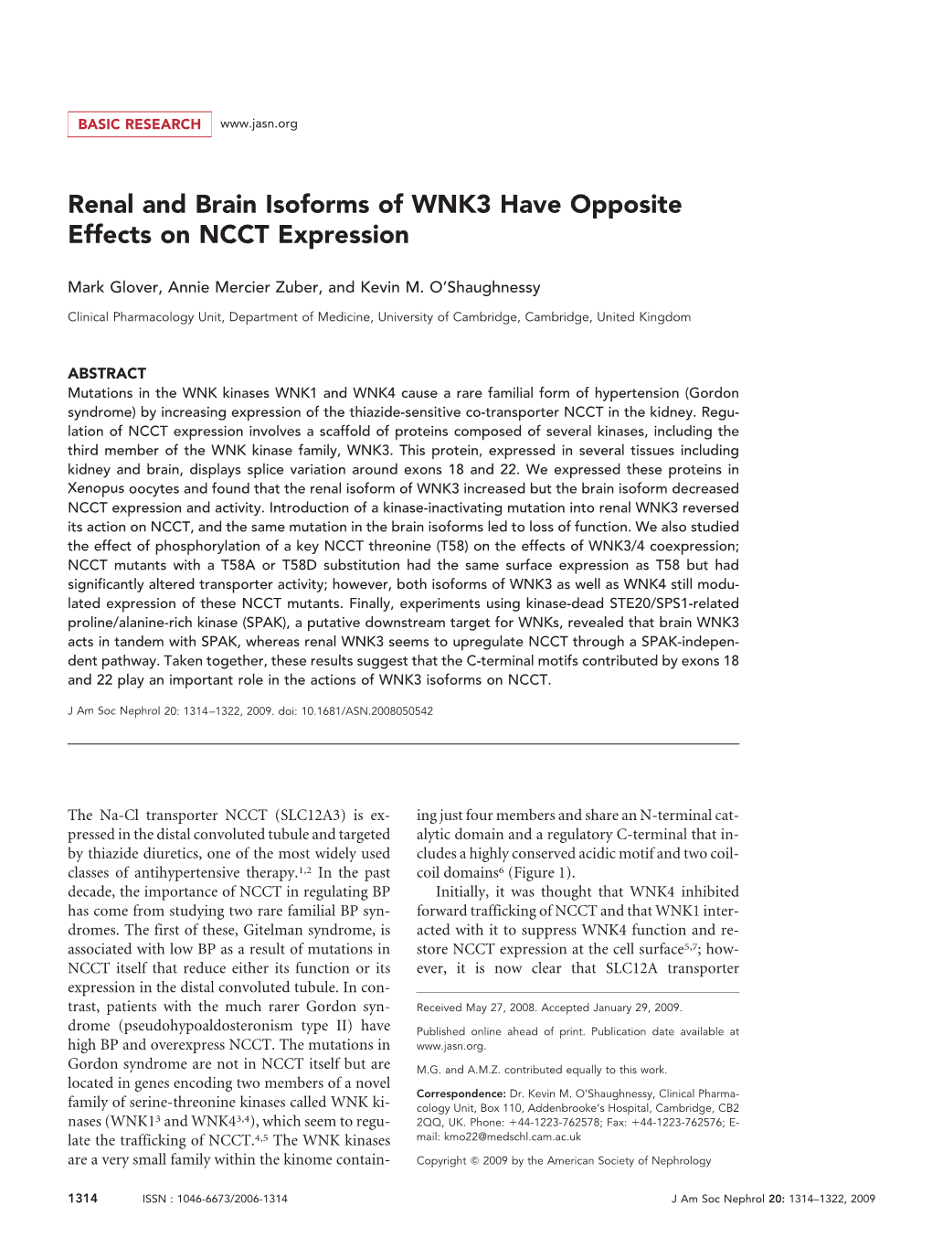 Renal and Brain Isoforms of WNK3 Have Opposite Effects on NCCT Expression