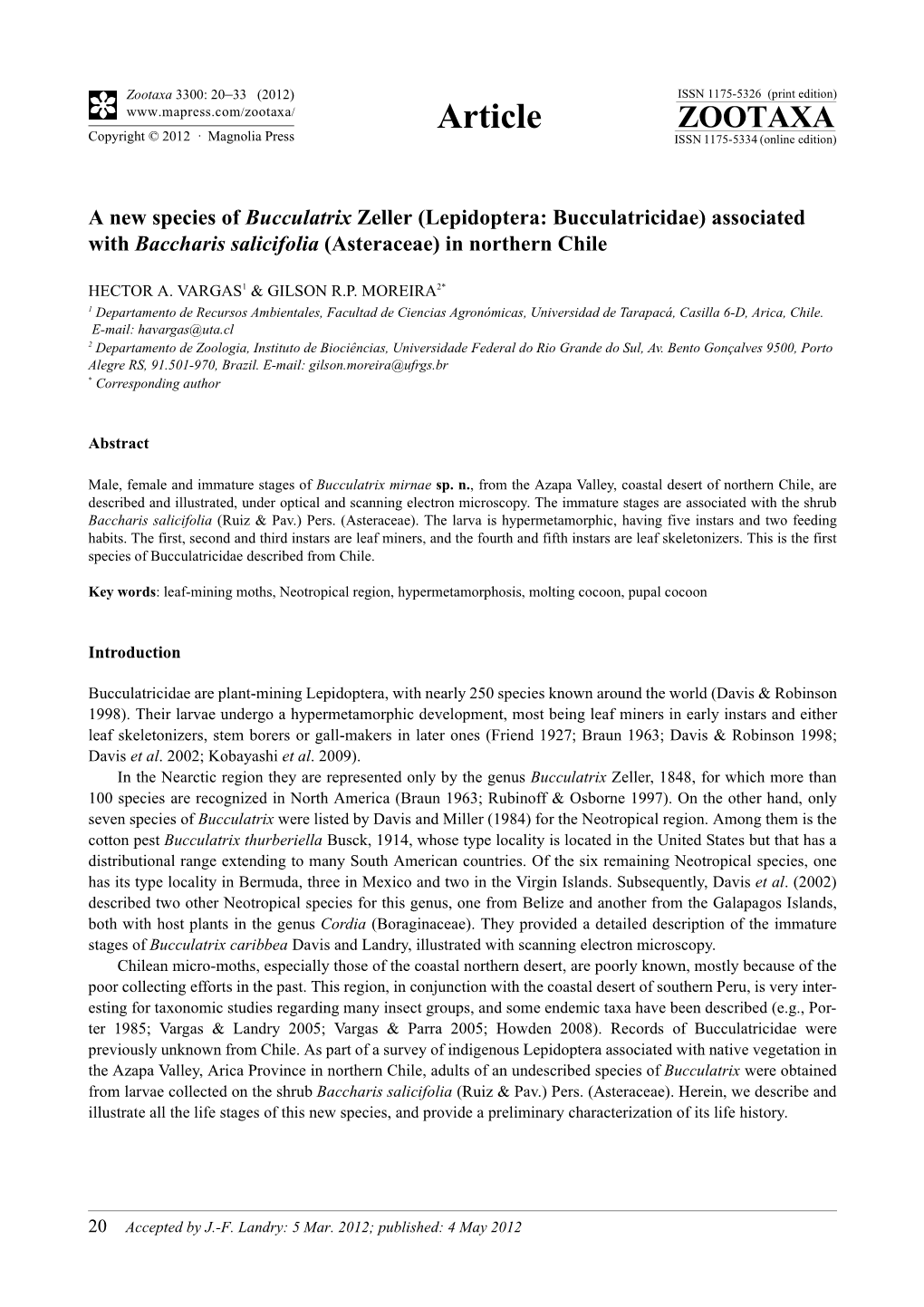 (Lepidoptera: Bucculatricidae) Associated with Baccharis Salicifolia (Asteraceae) in Northern Chile