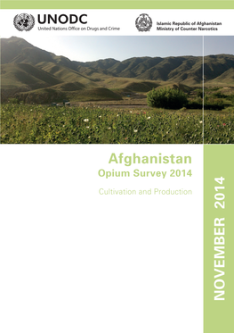 Afghanistan Opium Survey: Socio-Economic Analysis