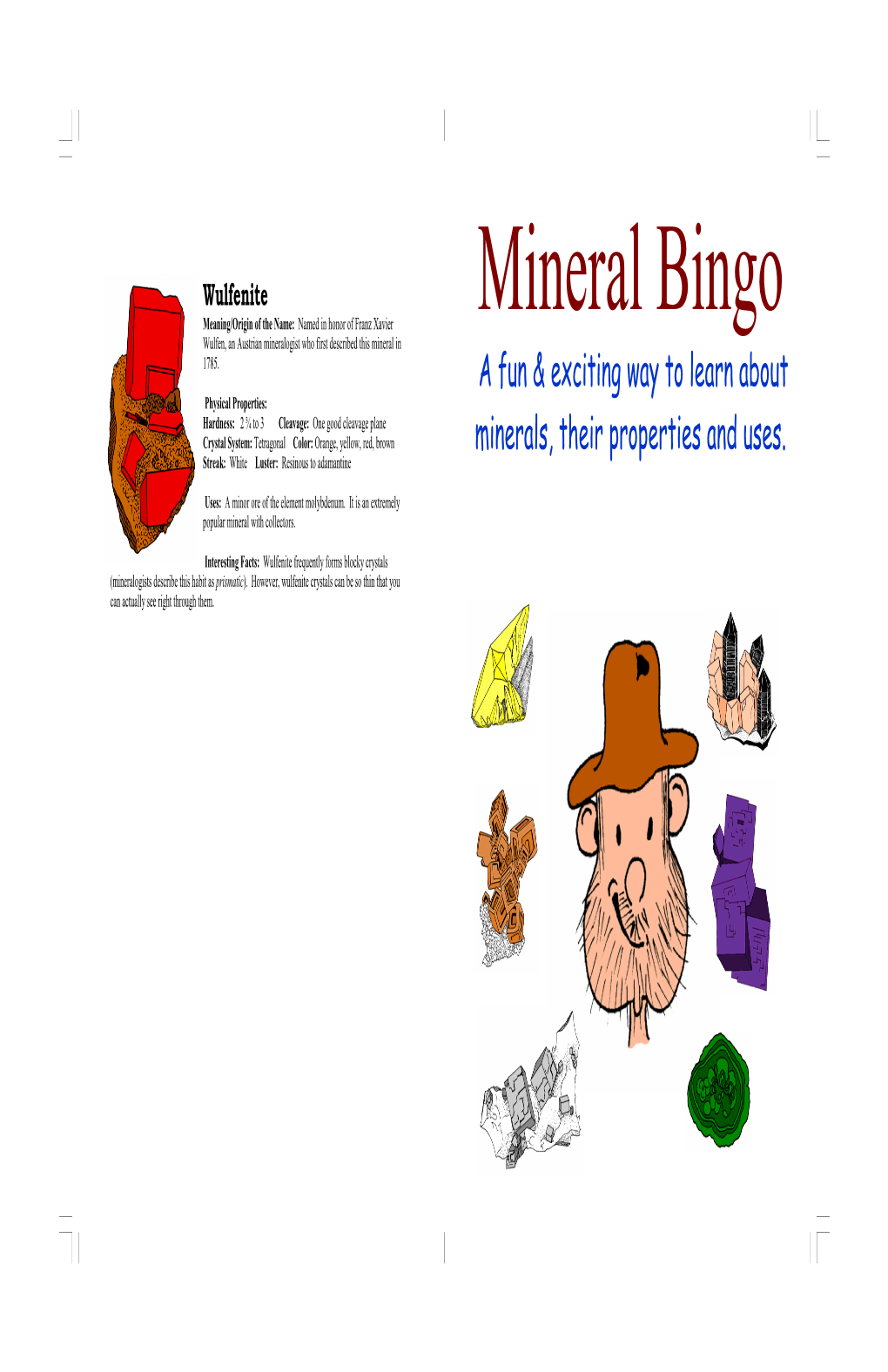 Bingo Booklet