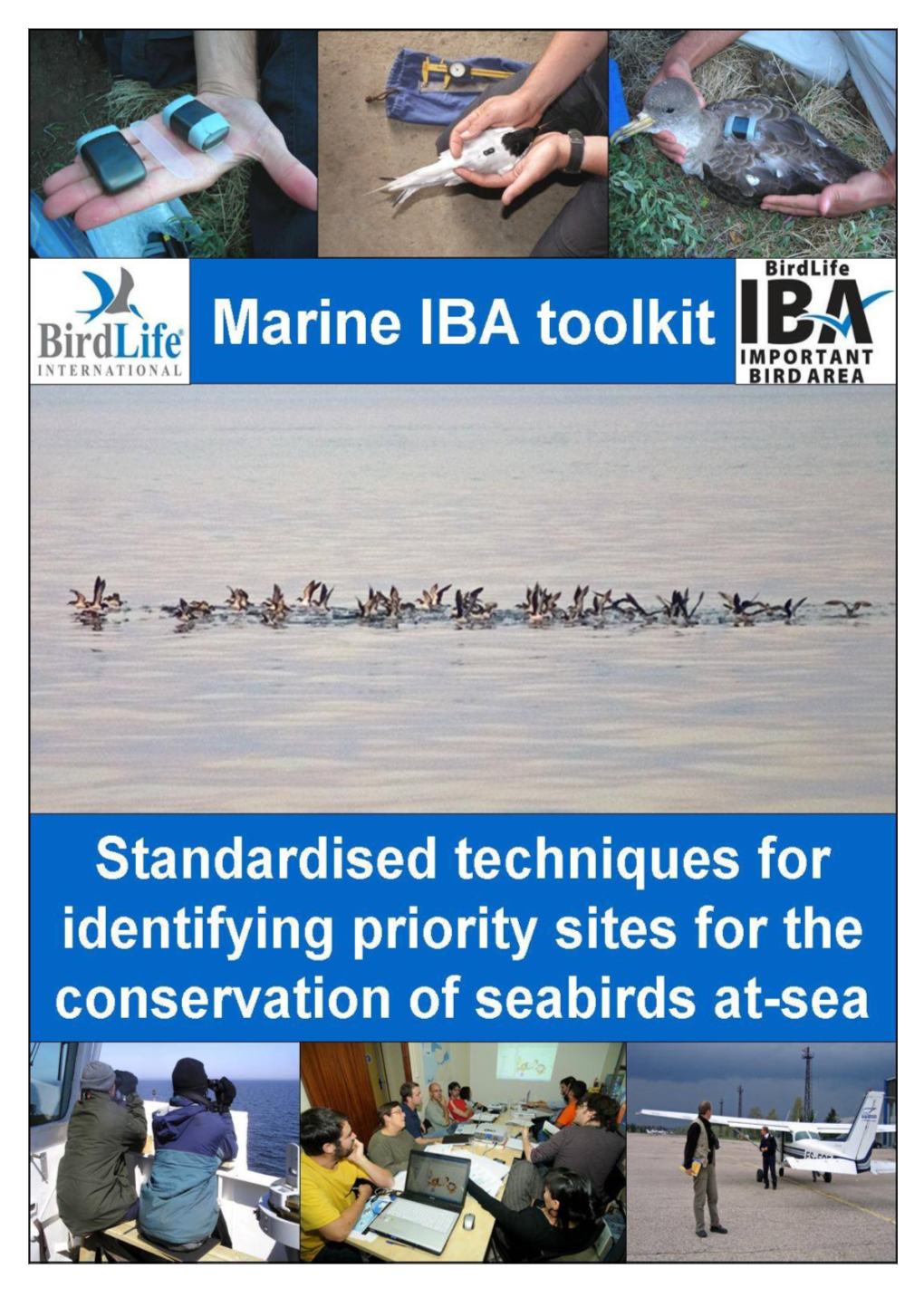 Marine Important Bird Areas Toolkit: Standardised Techniques for Identifying Priority Sites for the Conservation of Seabirds at Sea