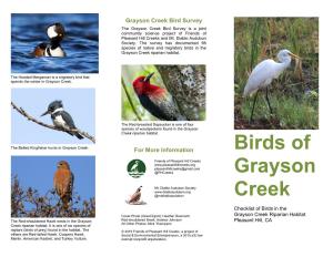 Grayson Creek Bird Survey