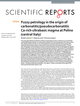 Fuzzy Petrology in the Origin of Carbonatitic/Pseudocarbonatitic Ca-Rich Ultrabasic Magma at Polino