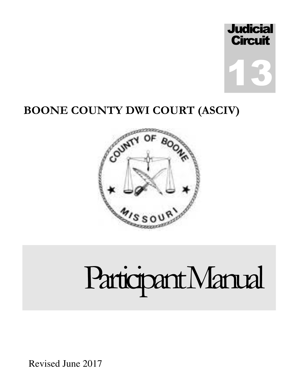 DWI Court Handbook