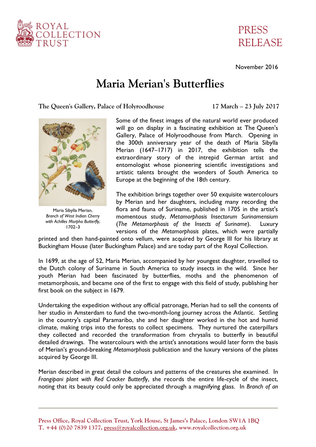 Maria Merian's Butterflies