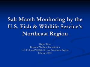 Salt Marsh Monitoring by The