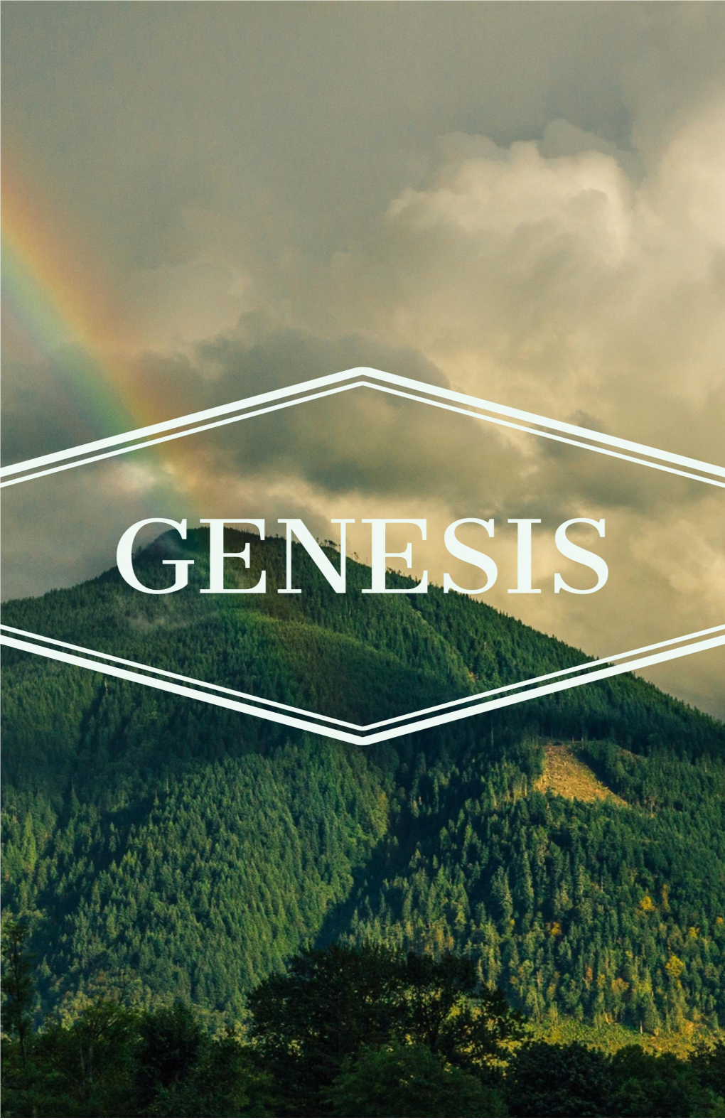 CURRENT DRAFT GENESIS WORKBOOK New Format.Pages