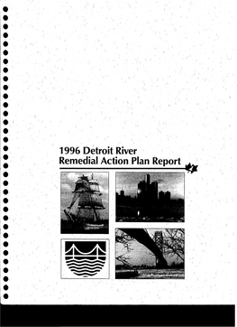 1996 Detroit River Remedial Action Plan Report Should Be Imple- Mented in a Manner Which Considers Environmental Justice Concerns Through out the Area of Concern