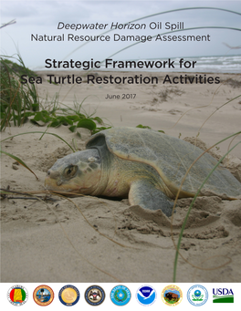 Strategic Framework for Sea Turtle Restoration Activities