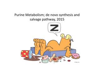 Purine Metabolism; De Novo Synthesis and Salvage Pathway 2015.Pptx