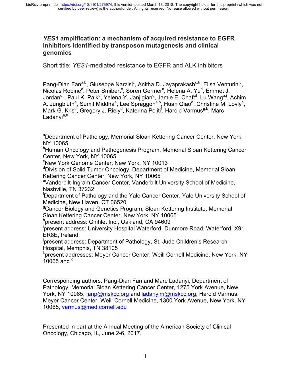 YES1 Amplification: a Mechanism of Acquired Resistance to EGFR Inhibitors Identified by Transposon Mutagenesis and Clinical Genomics