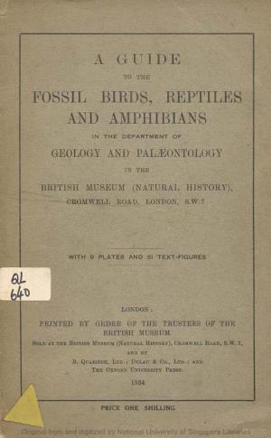 Fossil Birds, Reptiles and Amphibians