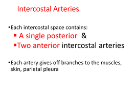 Intercostal Arteries a Single Posterior & Two Anterior Intercostal Arteries