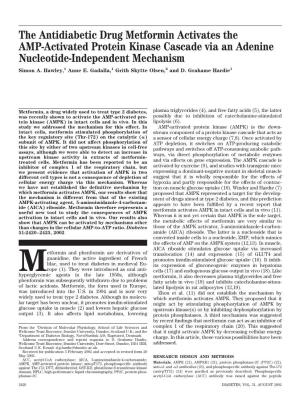 The Antidiabetic Drug Metformin Activates the AMP-Activated Protein Kinase Cascade Via an Adenine Nucleotide-Independent Mechanism Simon A