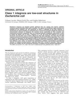 Class 1 Integrons Are Low-Cost Structures in Escherichia Coli