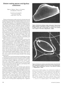 Diatom Resting Spores and Aguihas Collections