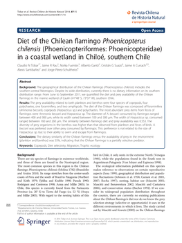 Diet of the Chilean Flamingo Phoenicopterus Chilensis