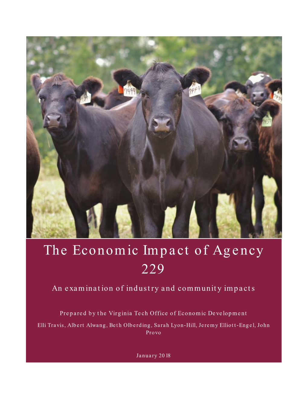 Econmic Impact of Agency 229 on Virginia