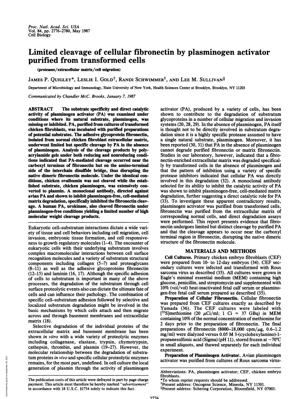 Limited Cleavage of Cellular Fibronectin by Plasminogen Activator Purified from Transformed Cells (Proteases/Extracellular Matrix/Cell Migration) JAMES P