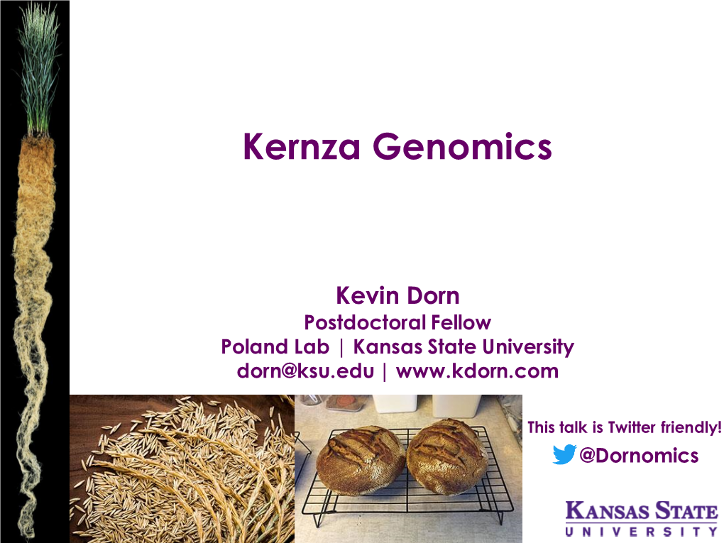 Kernza Genomics