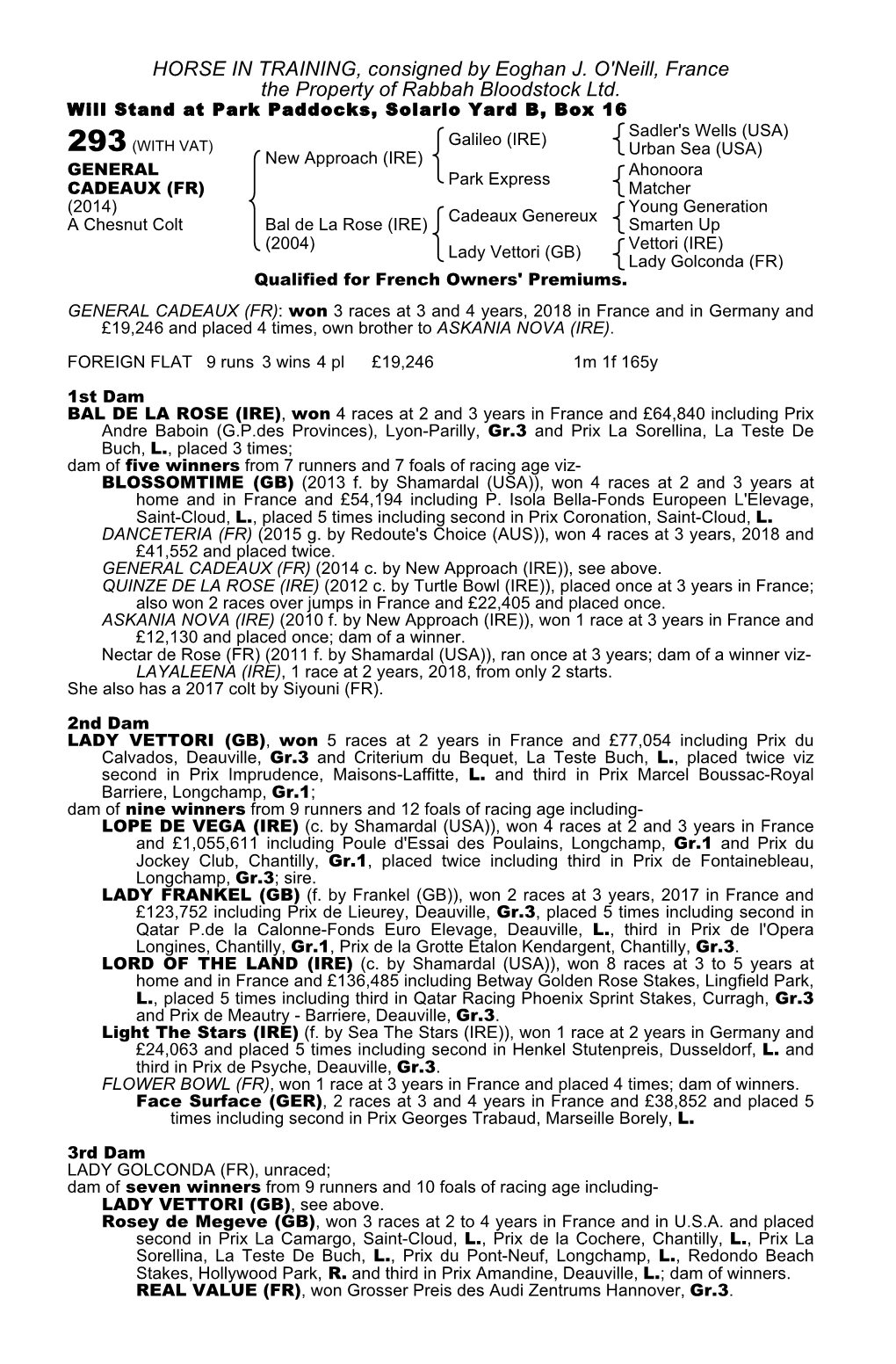 HORSE in TRAINING, Consigned by Eoghan J. O'neill, France the Property of Rabbah Bloodstock Ltd