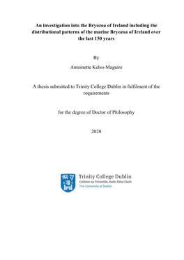 Kelso-Maguire Thesis 2020.Pdf