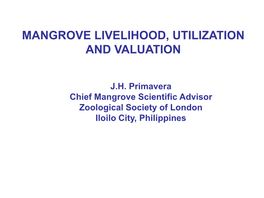 MANGROVE LIVELIHOOD, UTILIZATION and VALUATION Palau Artwork